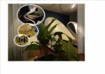 Winstgevend Wellness recreatie bedrijf te koop